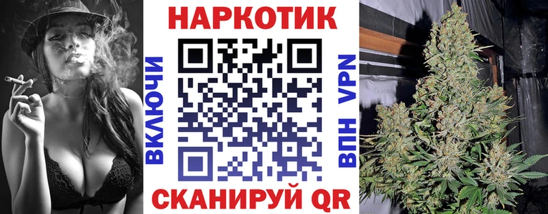 МЕФ Шахунья