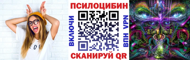 Псилоцибиновые грибы Psilocybine cubensis  продажа наркотиков  Шахунья 